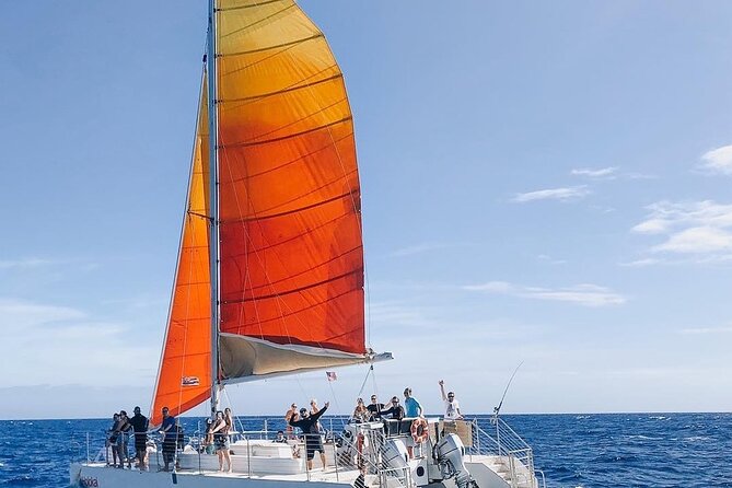 Whale Watching Sail in Honolulu with Open Bar - Why This Waikiki Sail Is Worth Your Afternoon
