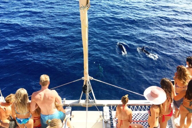 Whale Watching Sail in Honolulu with Open Bar - Meeting at 2169 Kālia Road