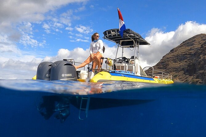 Wild Dolphin Watching and Snorkel Safari Off West Coast of Oahu - Key points to know before you book
