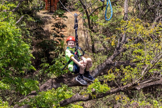 Zip & Dip: Zipline and Wet 'n' Wild Waterpark Combo - Is $176.03 a fair price?
