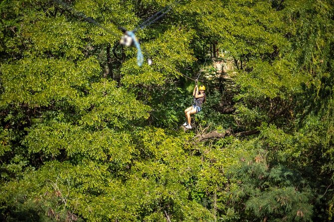 Zip & Dip: Zipline and Wet 'n' Wild Waterpark Combo - Timing, weather, and cancellation